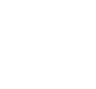 Exercices gratuits de conjugaison des verbes forts